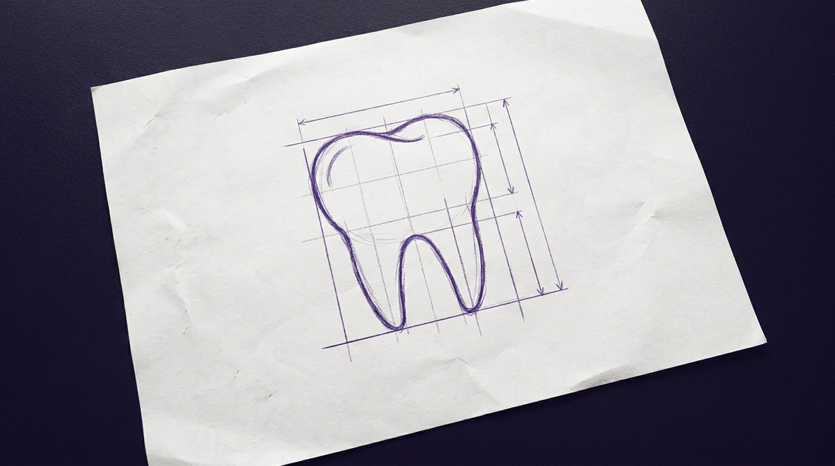 a human molar tooth viewed from the side showing an anatomical crown with rounded cusps on top and two distinct tapered roots extending downward